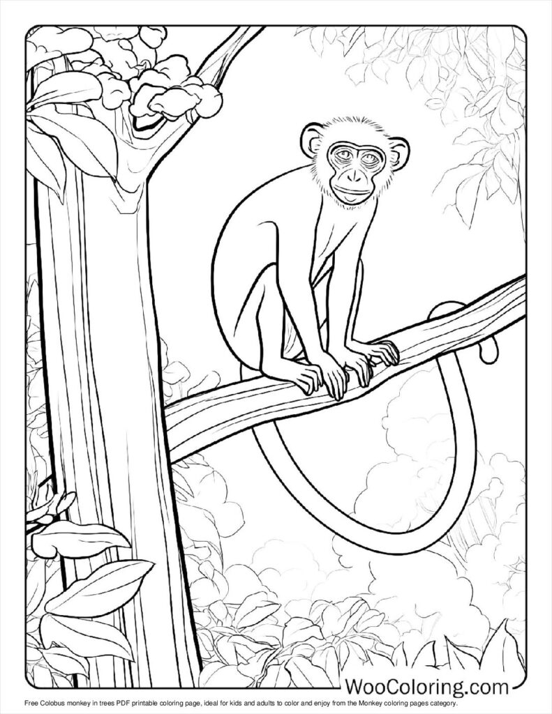 100 Monkey Coloring Pages Free PDF To Print Woo Coloring