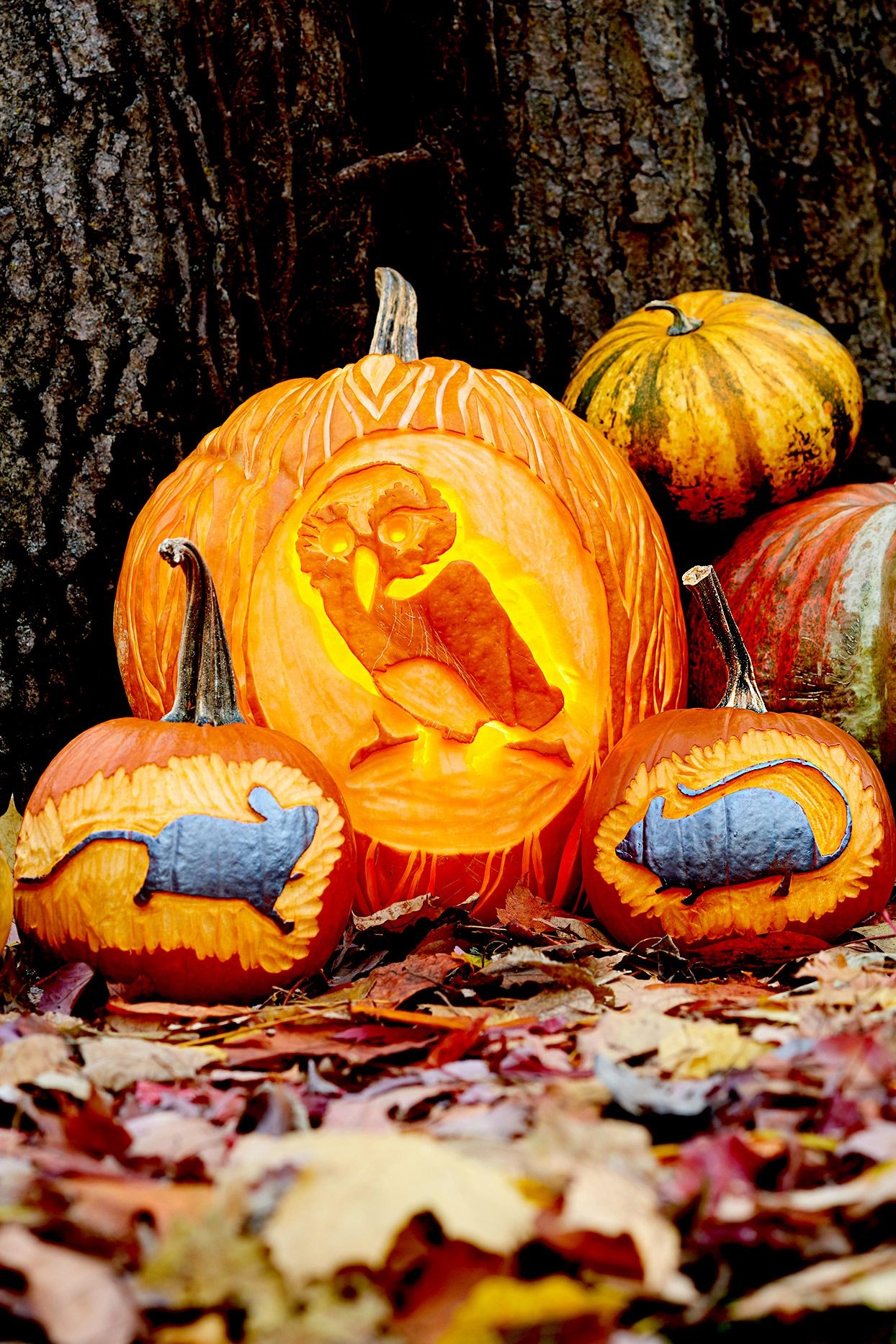 Cool Fun Printable Patterns For Pumpkin Carving