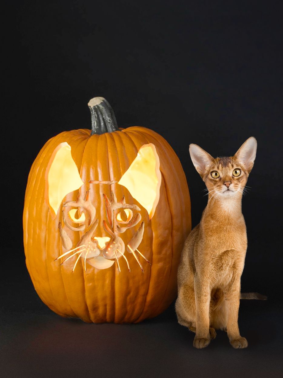 14 Free Cat Pumpkin Carving Stencils Of Your Favorite Breeds