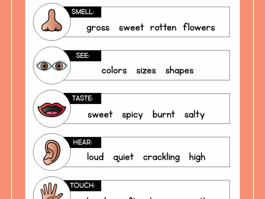 2 Easy Ways To Get Students Adding Details To Their Writing Susan Jones Teaching