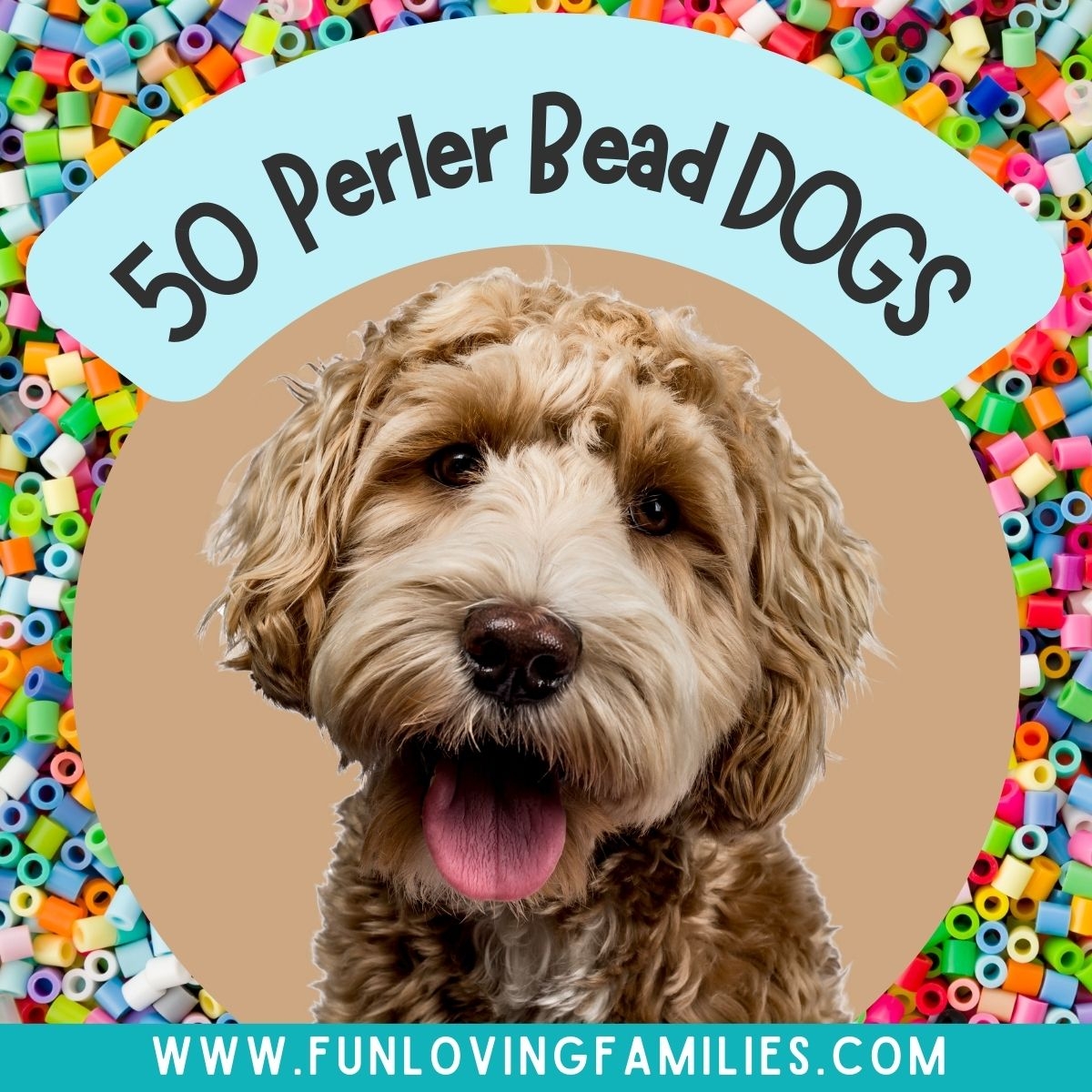 50 Best Dog Perler Bead Patterns Designs And Ideas Fun Loving Families
