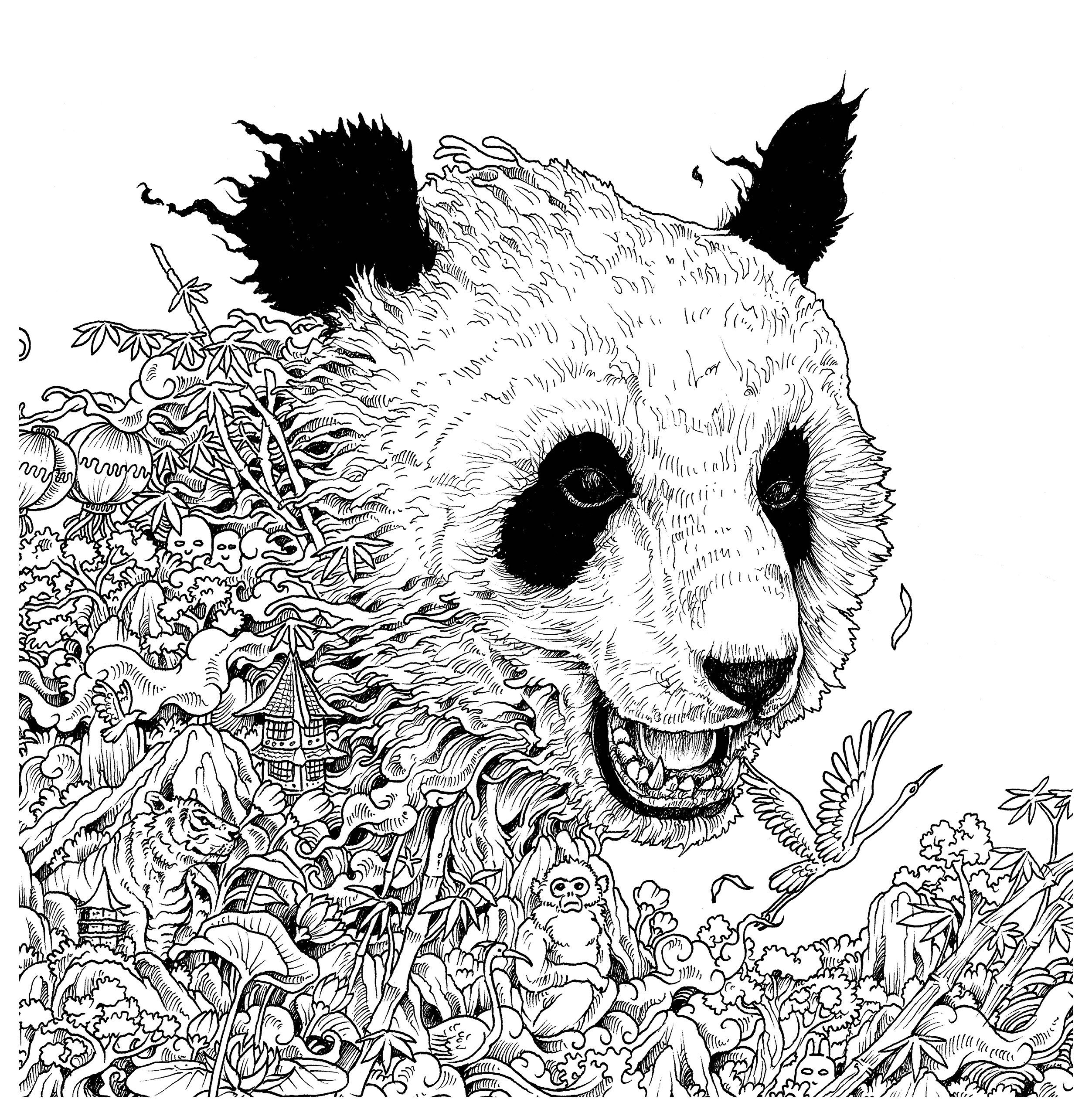 8 Imagimorphia Animals Ideas Animals Sketches Animorphia Coloring Book