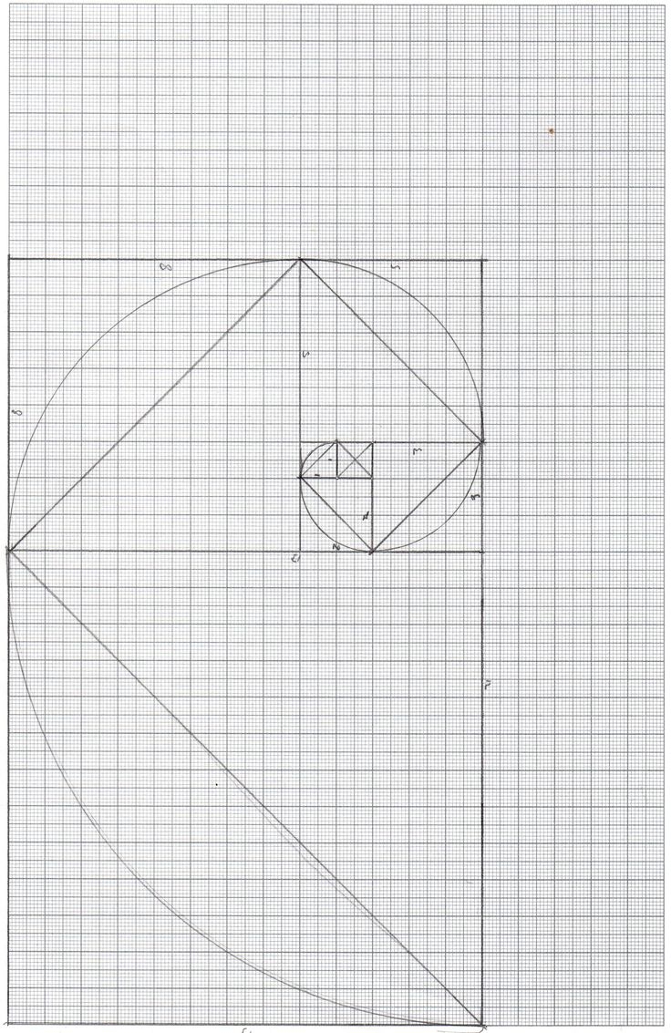 A Line Drawing Of The Fibonacci Spiral On Graph Paper Using Graph Paper Is The Easiest Way To Do An Accurate Drawing Of The Spiral Since If The Lines Are A Little