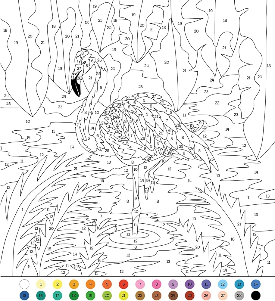 Animal Color By Numbers Includes 45 Artworks To Colour Arcturus Creative Color by Numbers Arcturus Publishing Limited Vaisberg Andres 9781398819436 Amazon Books