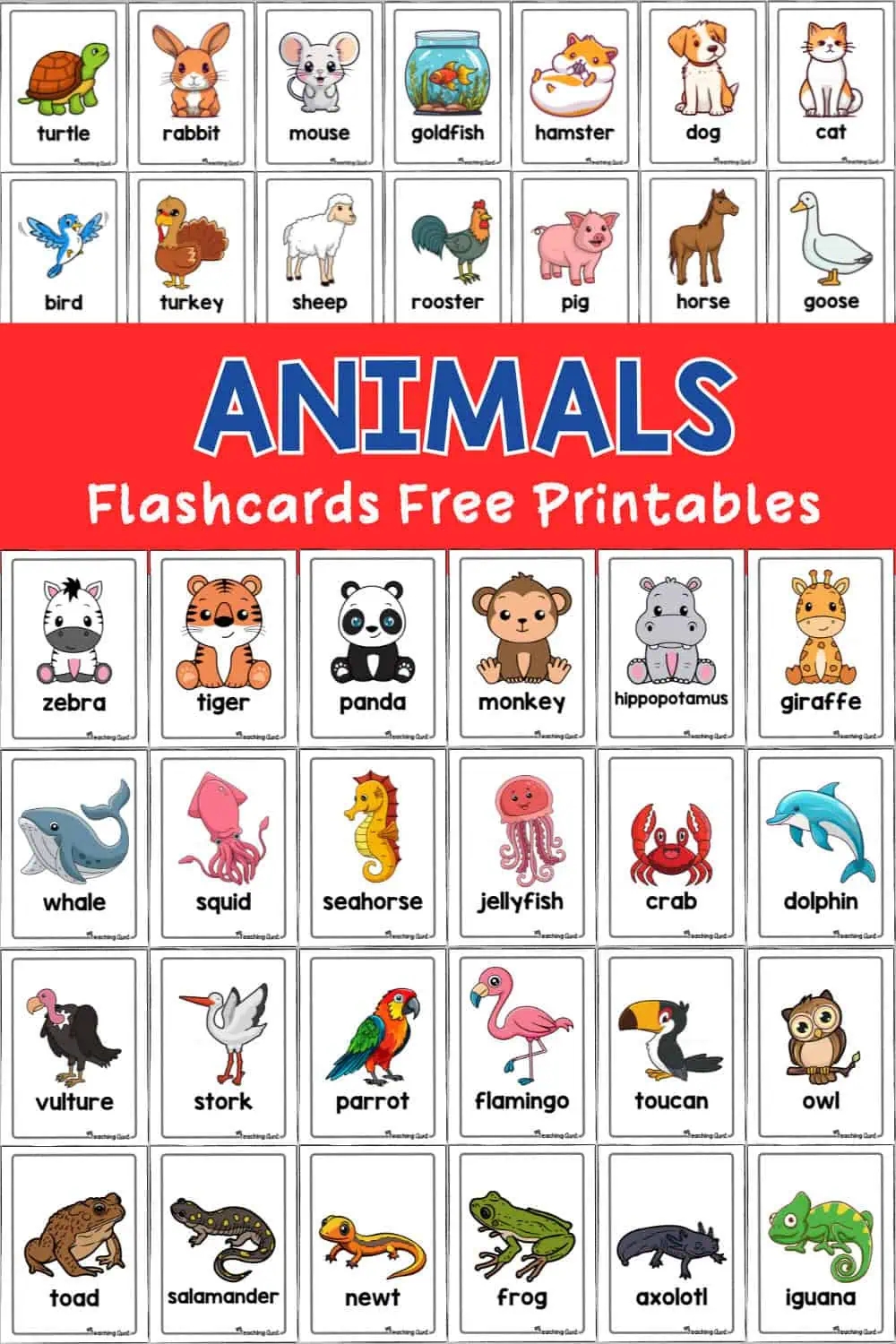 Animal Flashcards The Teaching Aunt