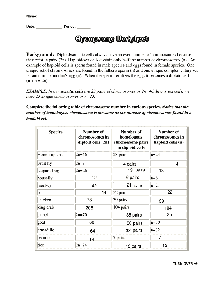 Printable Worksheets For Chorosome