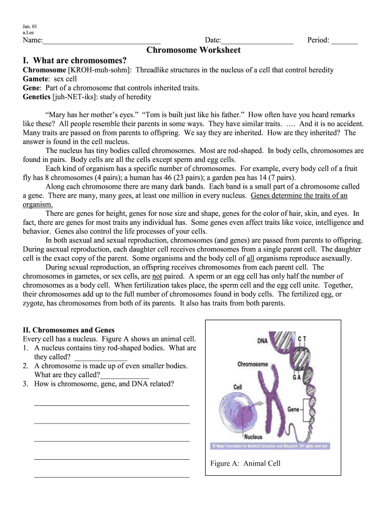 Chromosome Worksheet Answer Key Fill Out Sign Online DocHub
