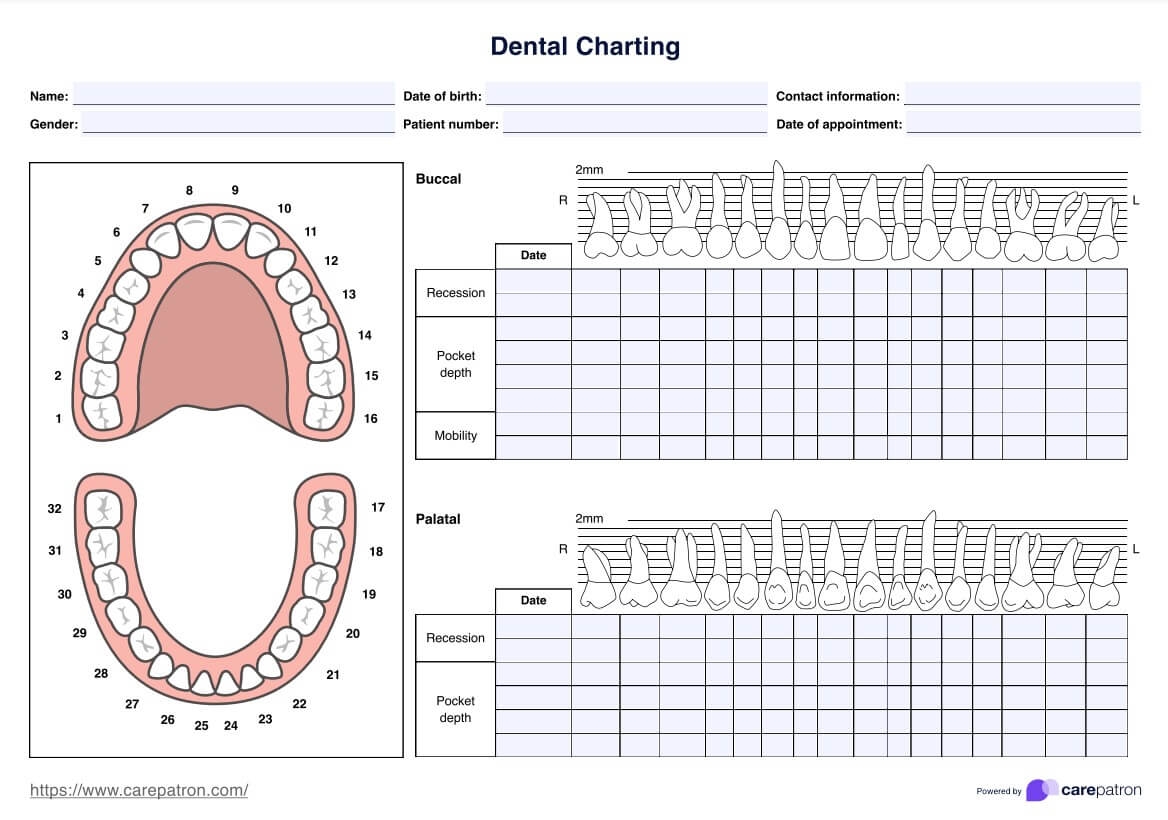 Dental Charting Template Example Free PDF Download