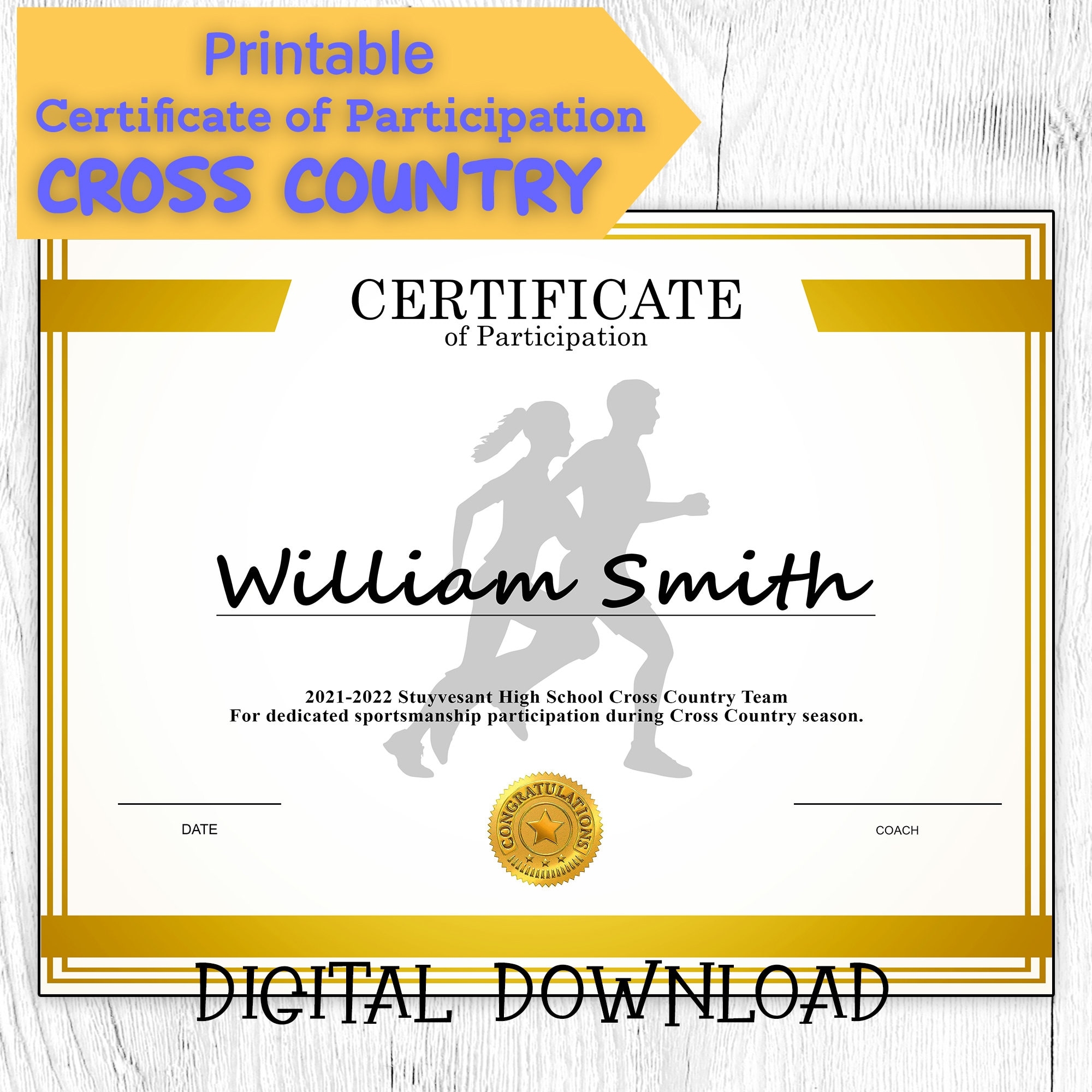 DIY Editable And Printable Sports Certificate Template Cross Country Participation Award Personalized Diploma Sports Award Etsy