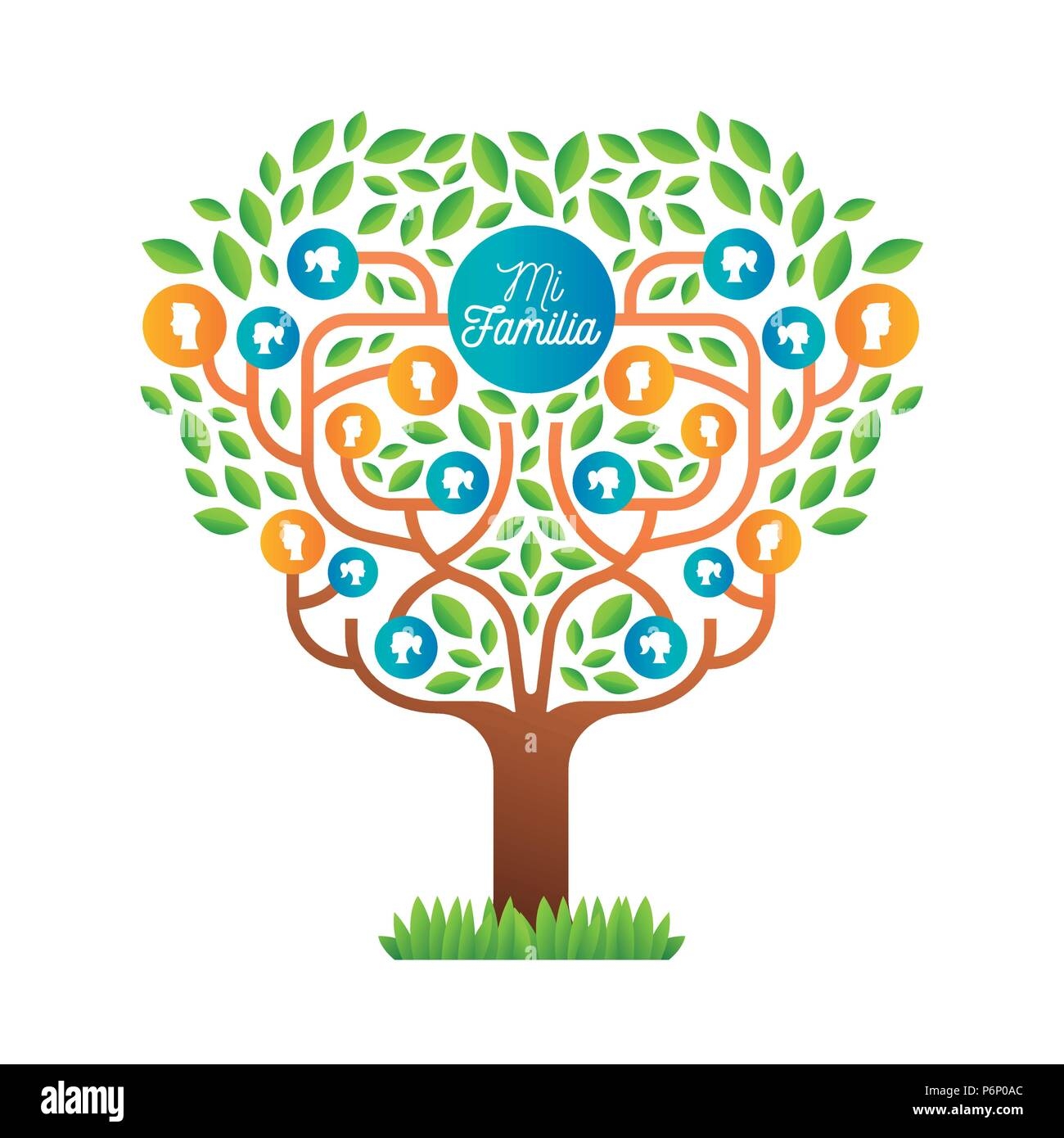 Family Tree Genealogy Illustration Cut Out Stock Images Pictures Alamy