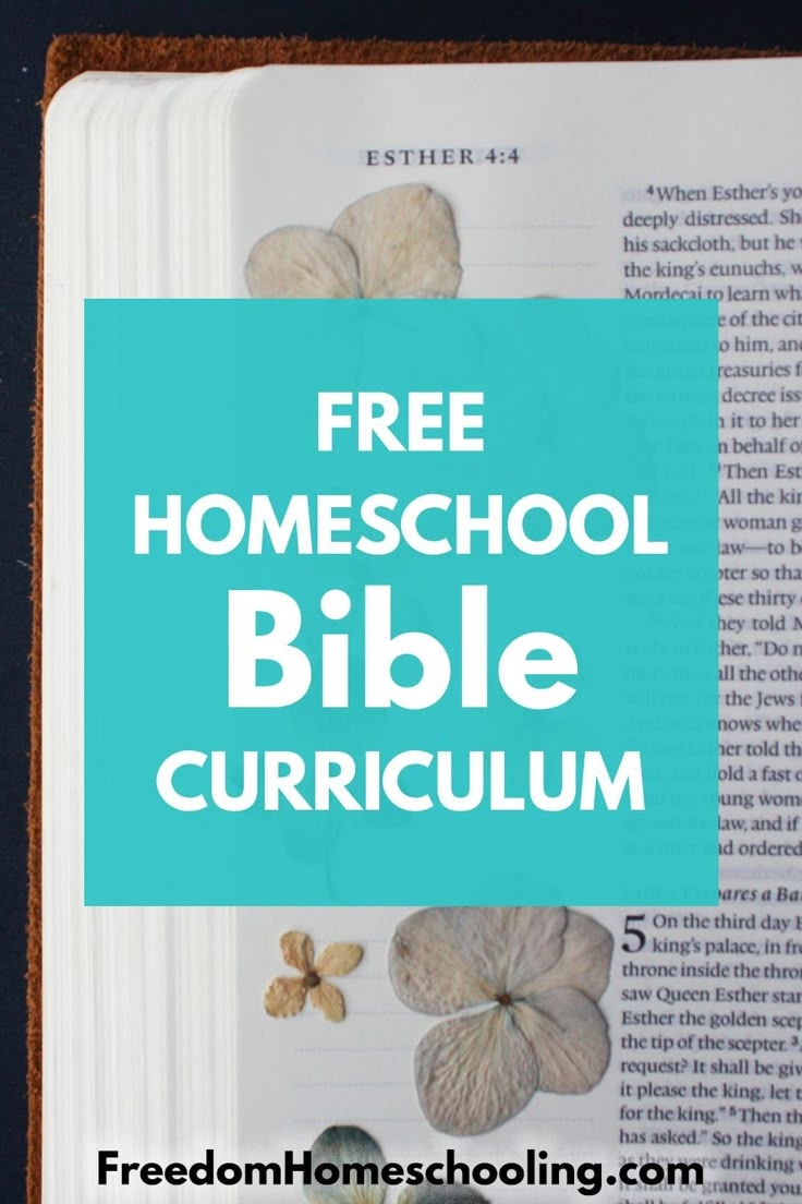 Free Homeschool Bible Curriculum Freedom Homeschooling