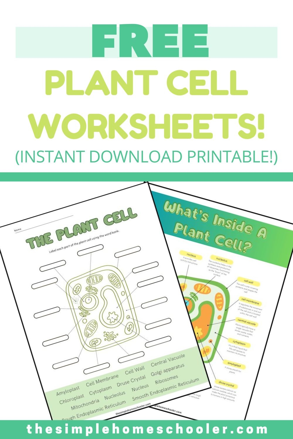 Free Plant Cell Worksheets With Answer Key The Simple Homeschooler