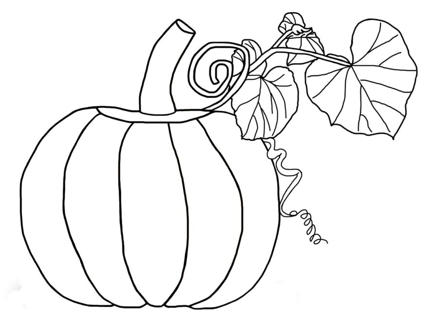 Free Pumpkin Coloring Pages For Kids