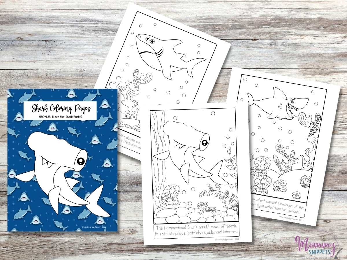 Free Shark Printables Shark Coloring Pages And MORE 