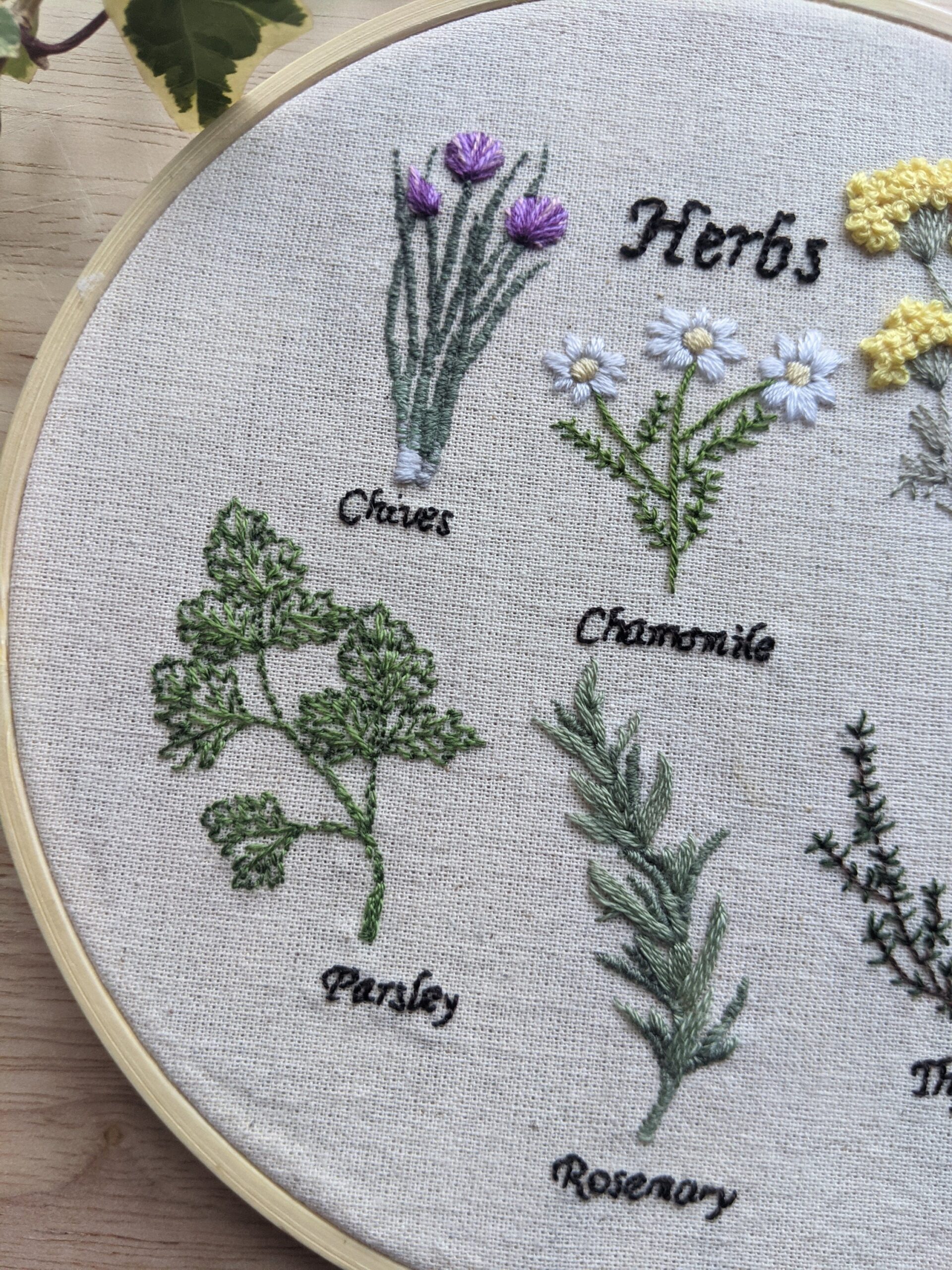 Herbs PDF Pattern Hand Embroidery 6 Inch Or 7 5 Inch Hoop Digital Pattern Download Art With Stitch Guide Instructions Intermediate Etsy