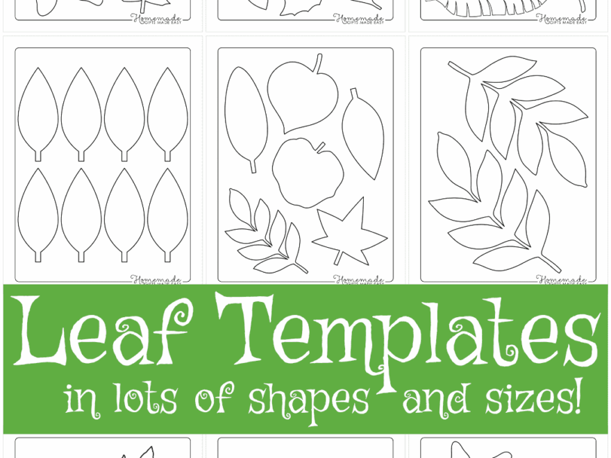 Leaf Template Free Printable Leaf Outlines For Kids
