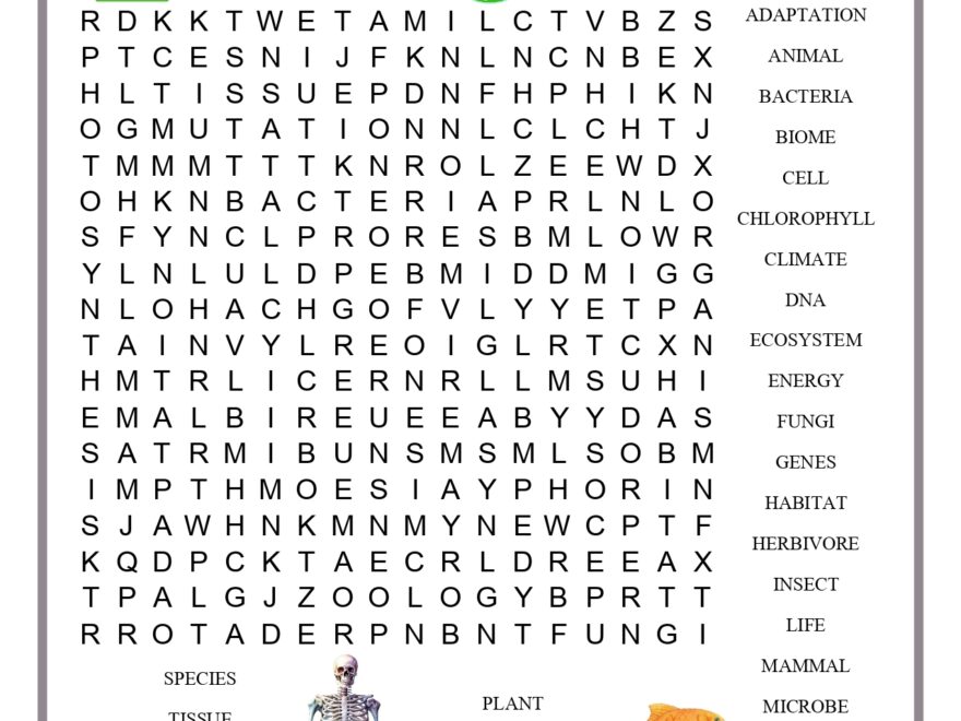 Life Science Word Search PDF