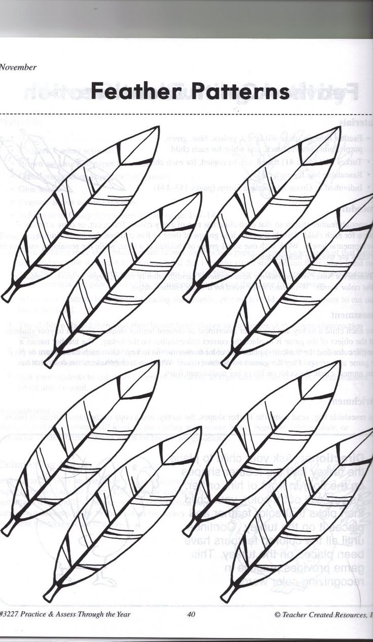 Melissas Homeschool Blog Learn To Draw A Turkey Kindergarten Turkey Craft Feather Template Templates Printable Free Turkey Feathers Template Free Printable