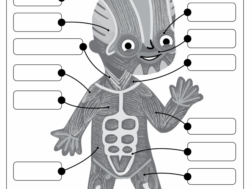 Muscular System Free Worksheet For Kids SKOOLGO