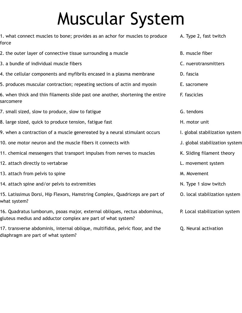 Muscular System Printable Worksheets