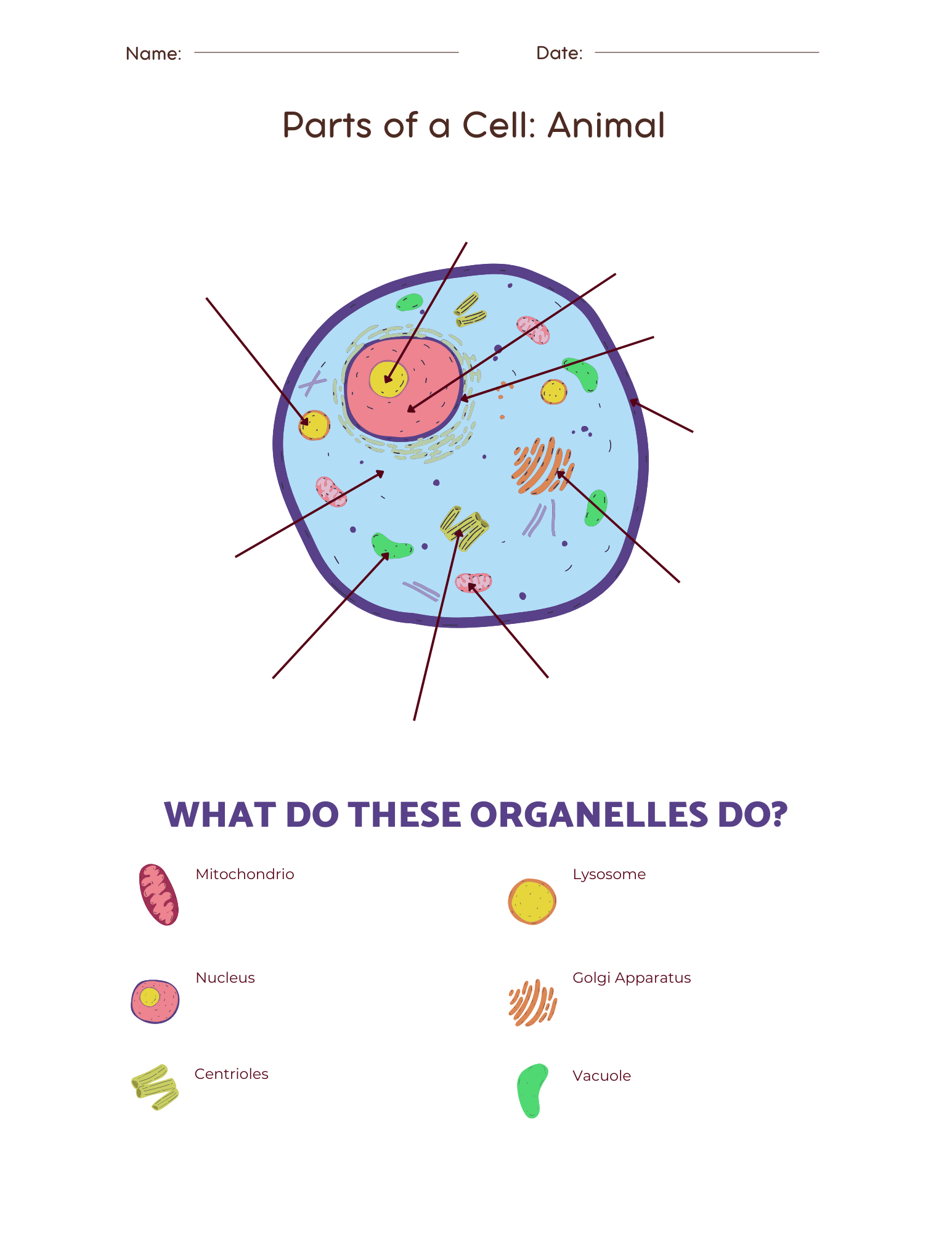 Pcf Printable Cells Worksheet