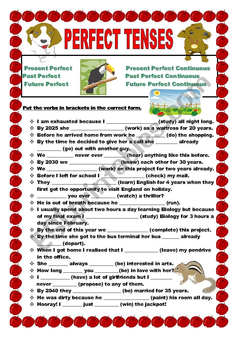 Perfect Tenses ESL Worksheet By Ildibildi