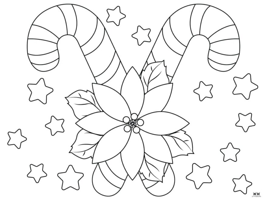 Poinsettia Coloring Pages Templates FREE Printabulls