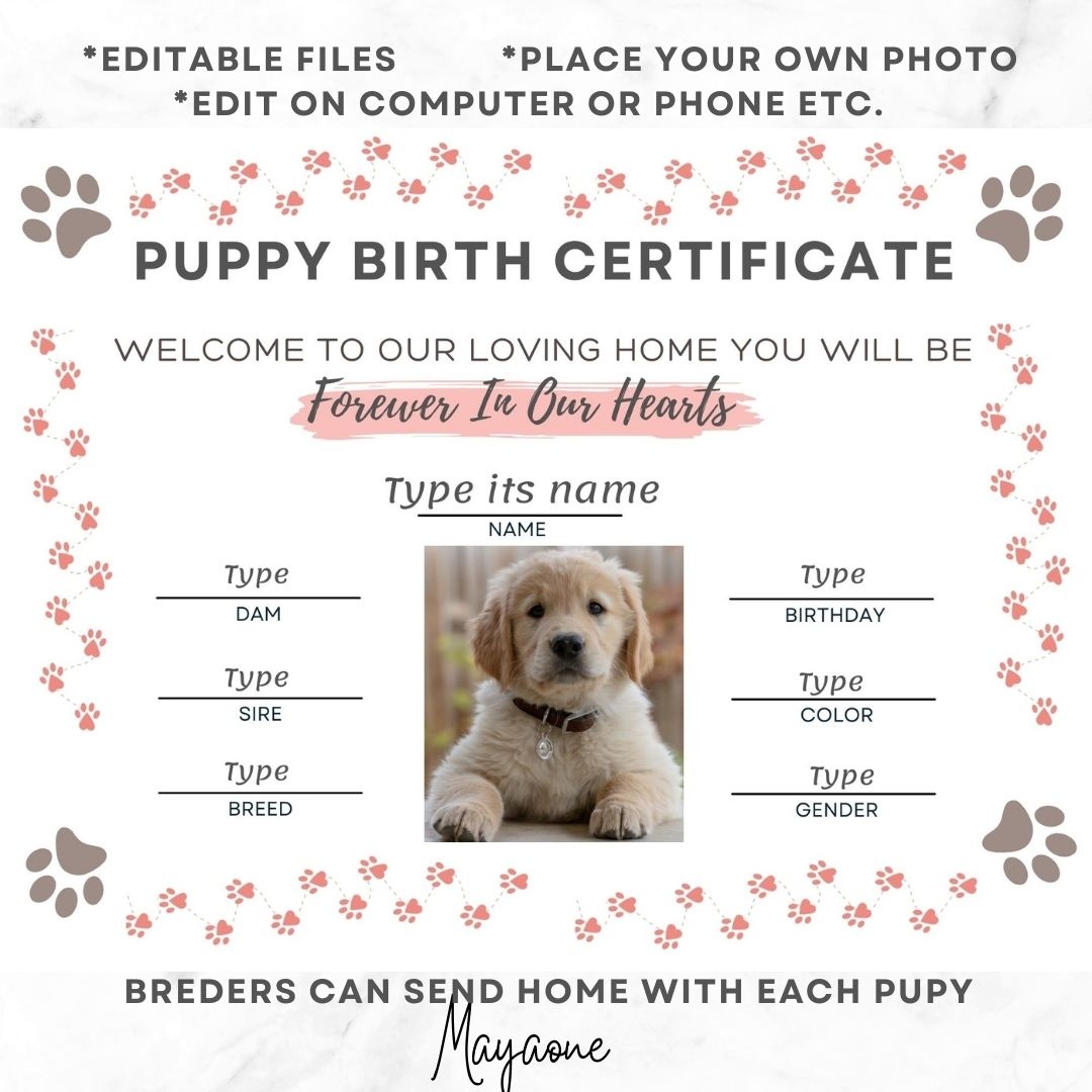 Puppy Birth Certificate Template Kitty Birth Certificate T Inspire Uplift