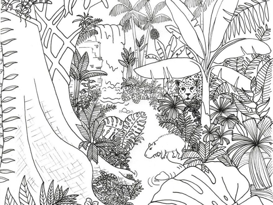 Rainforest Coloring Page Rainforest Alliance