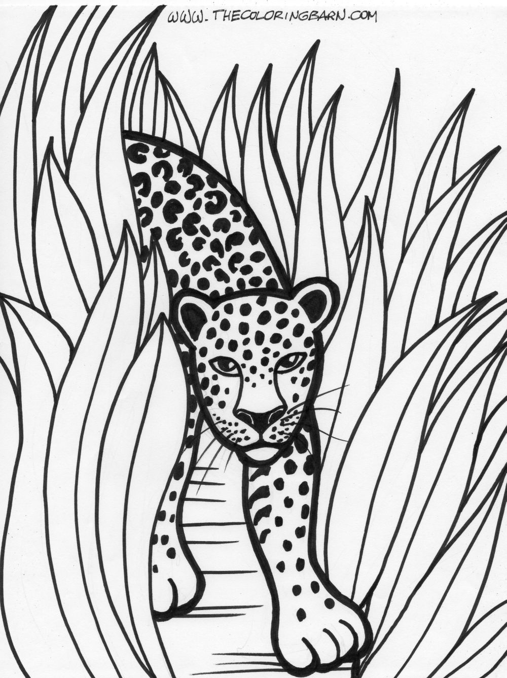 Rainforest Coloring Pages The Coloring Barn