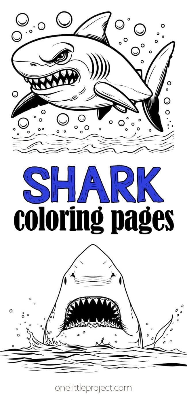 Shark Coloring Pages Free Printable Shark Coloring Sheets