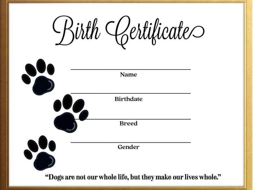 Simple Dog Canine Birth Certificate Instant Download Printable Template Gold Frame Breeder Resource Etsy
