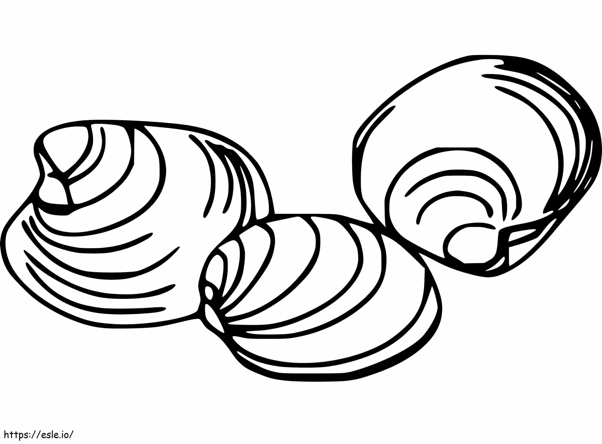 Three Clams Coloring Page