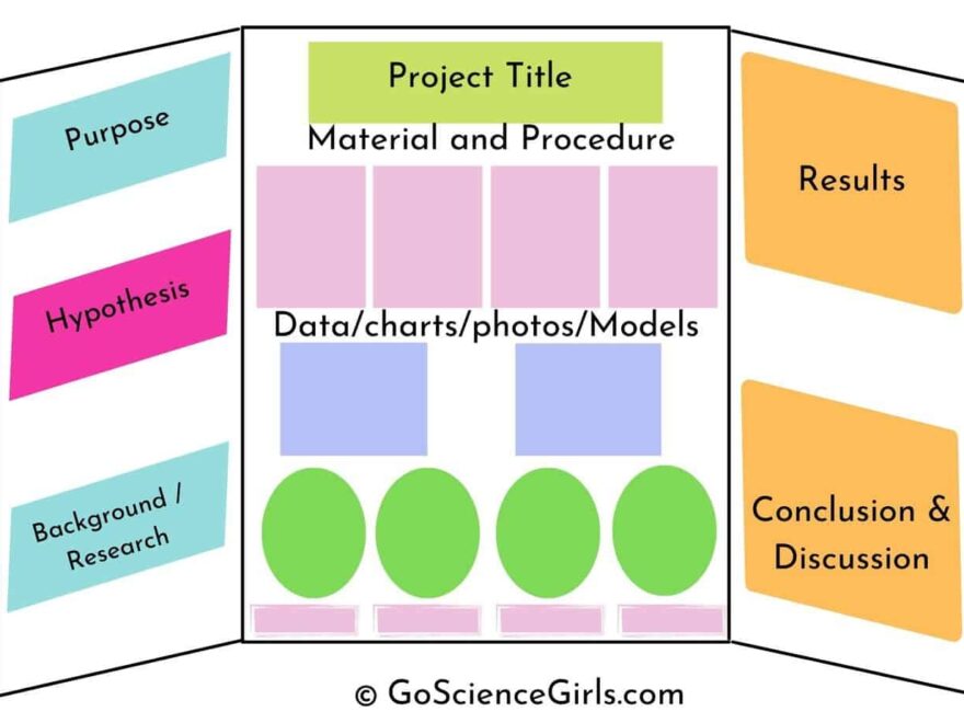 Ultimate Guide For A Science Fair Project Science Fair Board Layout Ideas Examples
