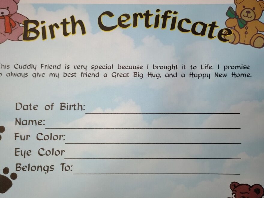 Vintage Build A Bear Blank Birth Certificate EBay