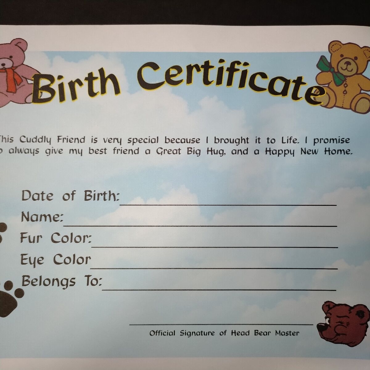 Vintage Build A Bear Blank Birth Certificate EBay